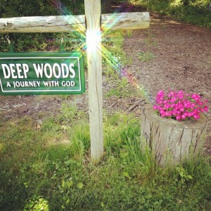 Deep Woods- a journey with God 5 12