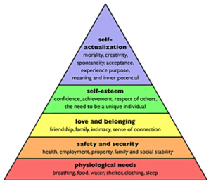 maslov's hierarch of needs